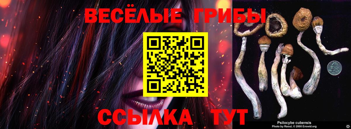 Кудымкар  Псилоцибиновые грибы MAGIC MUSHROOMS  Вход с VPN  Галлюциногенные грибы Psilocybe 